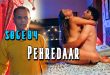Pehredaar S06E04 (2024) Hindi Hot Web Series BigPlay