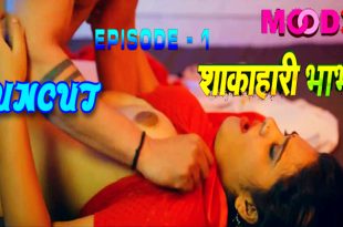 Shakahari Bhabhi S01E01 (2024) UNCUT Hindi Web Series Moodx